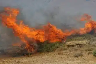 Πυρκαγιά στις Πρέσπες - Καίει δασική έκταση 60