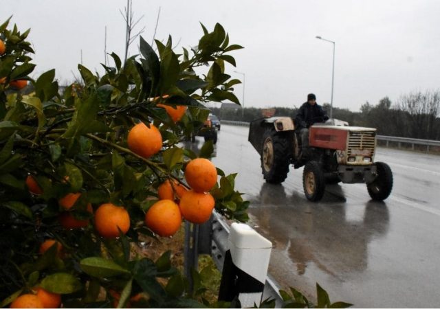 Τσακλόγλου: Προσωρινή σύνταξη 70% και για τους αγρότες 2