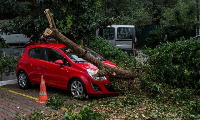 Πώς αποζημιώνονται όσοι έπαθαν ζημιές από πτώση δέντρων στα αυτοκίνητά τους (video) 2