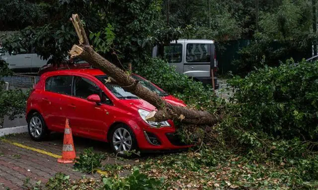 Πώς αποζημιώνονται όσοι έπαθαν ζημιές από πτώση δέντρων στα αυτοκίνητά τους (video) 12