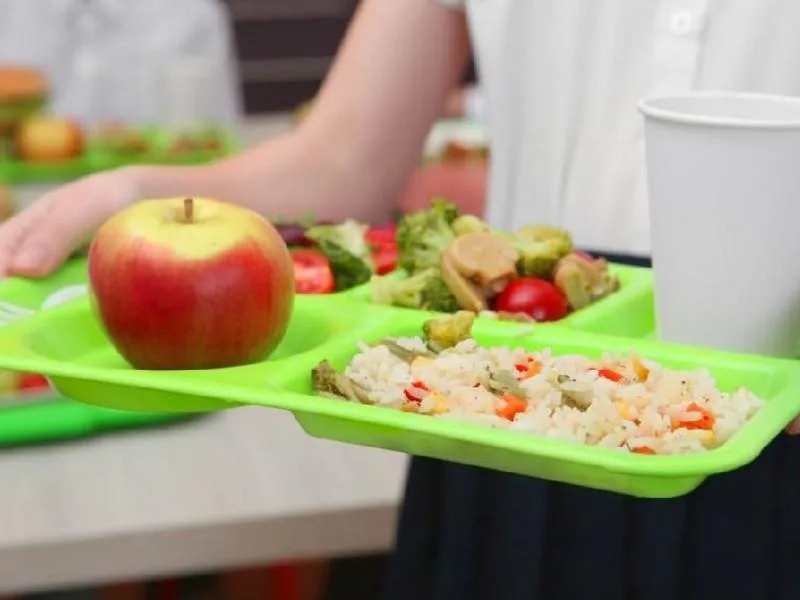 Σχολεία: Πότε αρχίζει η διανομή γευμάτων 11