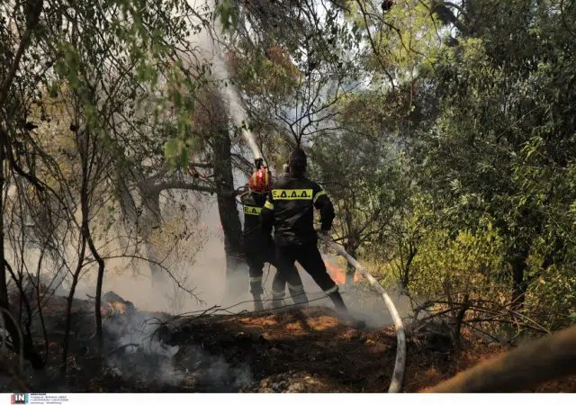Ανεξέλεγκτη η φωτιά στη Σταμάτα Αττικής: «Γλείφει» αυλές σπιτιών λέει ο δήμαρχος 13