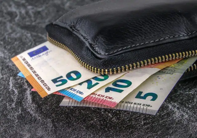 Δικαιούχοι της εφάπαξ οικονομικής ενίσχυσης ύψους 250 ευρώ 13