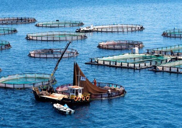 Έως 15 Μαρτίου οι αιτήσεις για αποζημιώσεις σε αλιεία και υδατοκαλλιέργεια 2