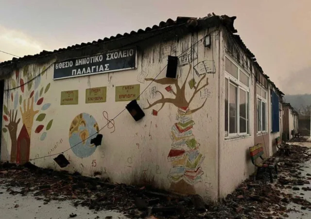 Έβρος: Η ΔΕΠΑ Εμπορίας αποκαθιστά τις ζημιές του δημοτικού σχολείου Παλαγιάς 13