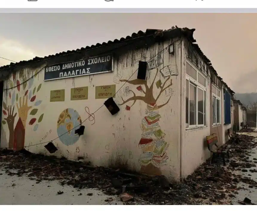 Έβρος: Η ΔΕΠΑ Εμπορίας αποκαθιστά τις ζημιές του δημοτικού σχολείου Παλαγιάς 9