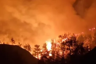 Φωτιά στον Έβρο: Το «πριν» και «μετά» της καταστροφικής πυρκαγιάς στη Δαδιά 28