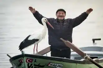 Τουρκία: Η φιλία ενός πελαργού και ενός ψαρά που έχει γίνει viral 85